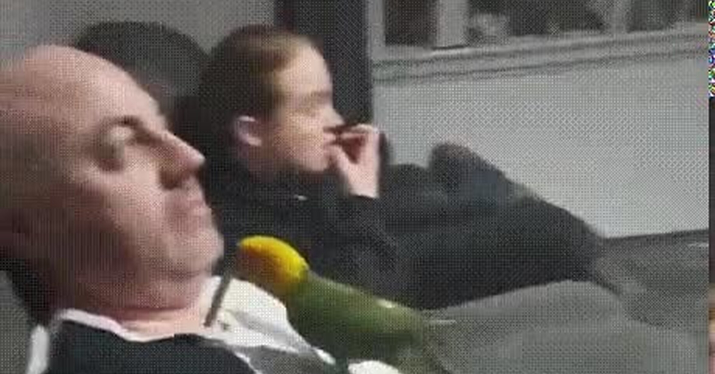 ¡Vaya GIF! / Le encanta compartir su comida