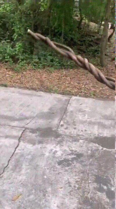 Enlace a El palo de madera definitivo