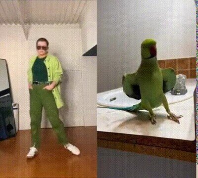 Enlace a La coreografía definitiva
