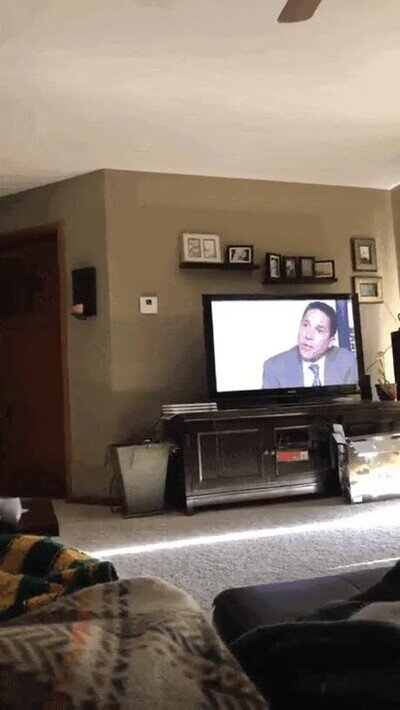 Enlace a Yo no podría mirar la tele tranquilo así