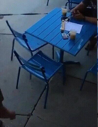 Enlace a Creo que nunca se volverá a sentar en una terraza con el perro