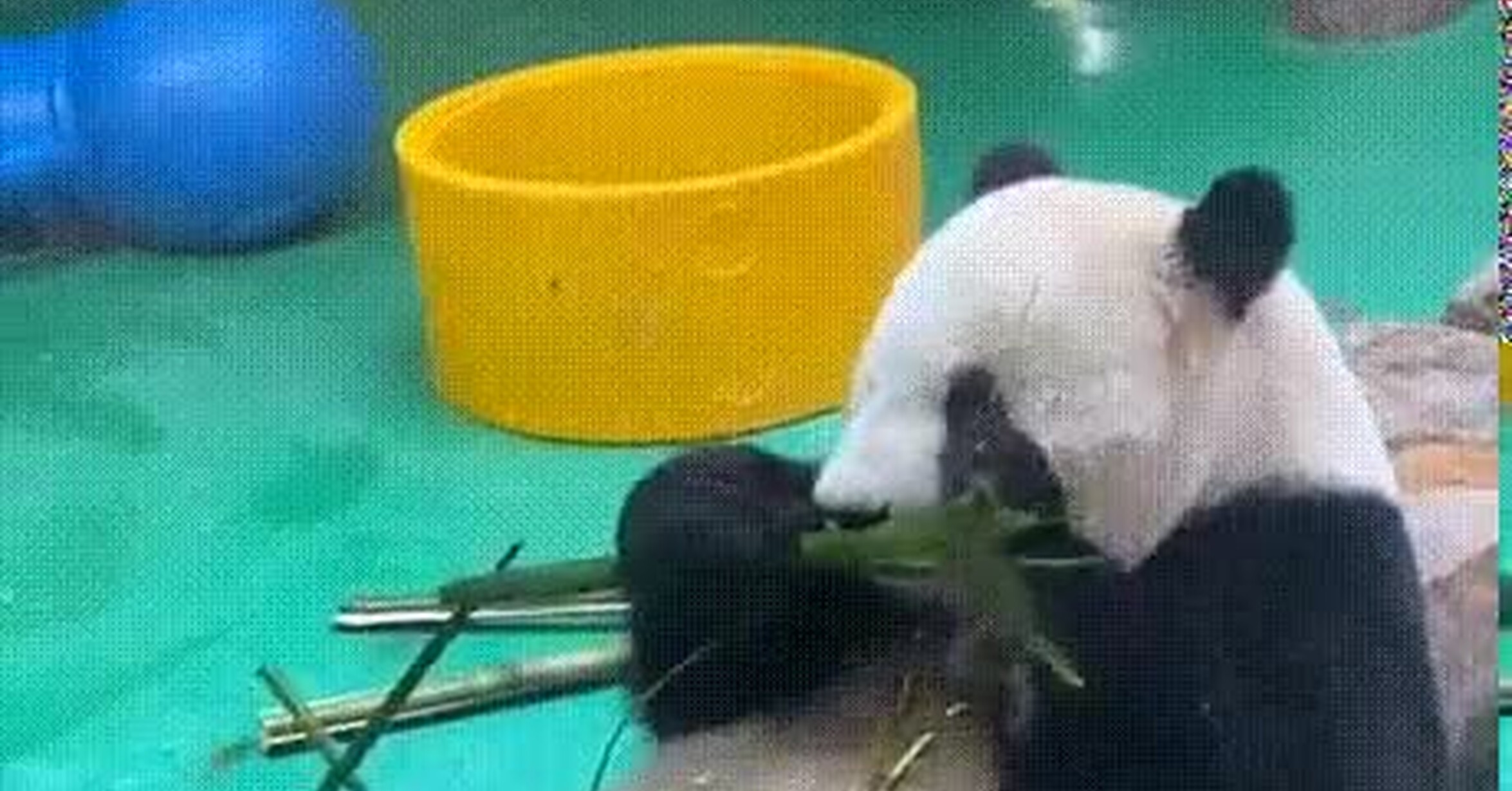 Mi vida cuando llega el fin de semana