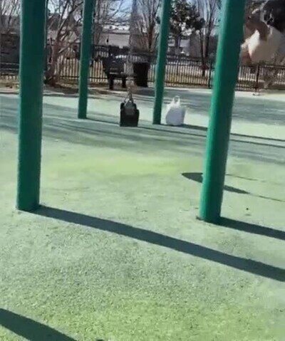 Enlace a Se nota que el abuelo pasó muchas horas en el parque