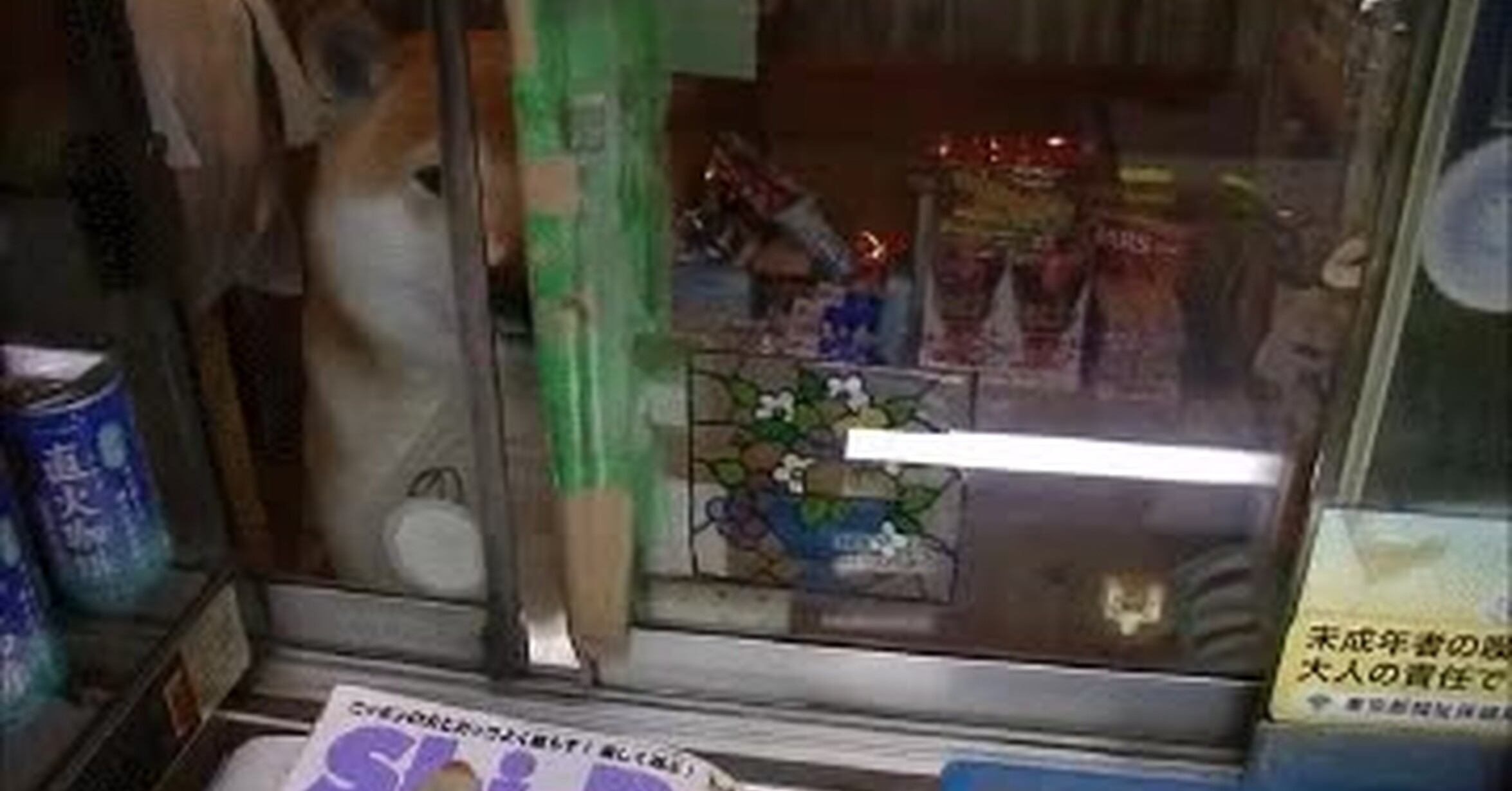 No tengo Calipo, solo Masibon