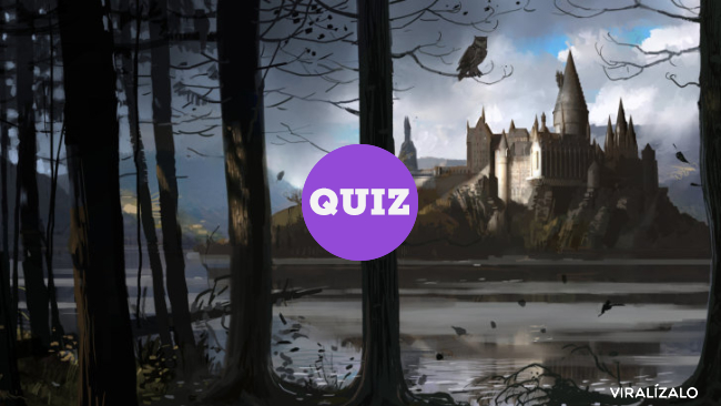 1710 - ¿A qué te dedicarías en el universo de Harry Potter?