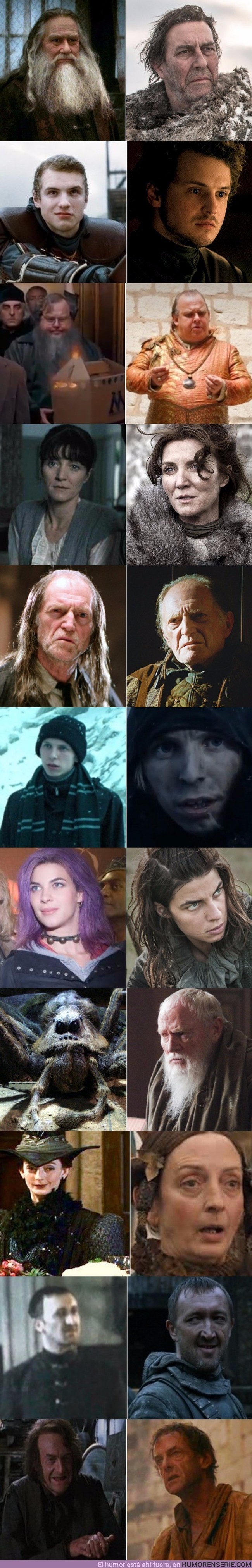 2046 - 11 personajes de 'Harry Potter' que también aparecen en 'Juego de Tronos'
