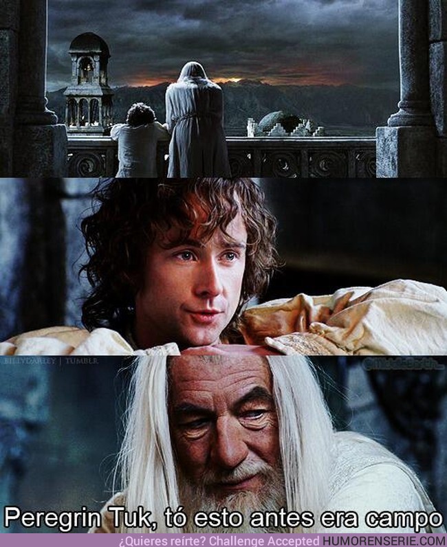 3048 - Gandalf es un pozo de sabiduria