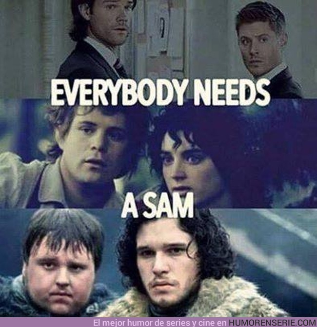 3226 - Todo el mundo necesita un Sam