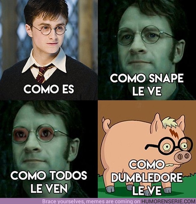 3523 - Así vemos a Harry Potter