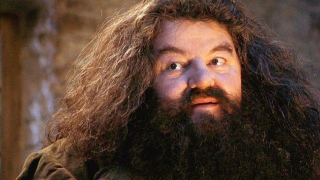 5001 - Una teoría sugiere que Hagrid podría ser mucho más poderoso de lo que aparenta