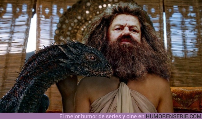 6952 - Rubeus Hagrid, la auténtica madre de dragones.
