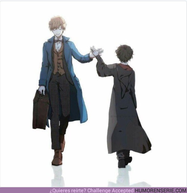 7672 - Una ilustadora imagina el encuentro entre Harry Potter y Newt Scamander