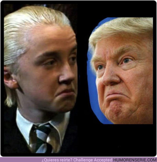 8462 - Cuando te das cuenta de que Draco es el Donald Trump de Harry Potter
