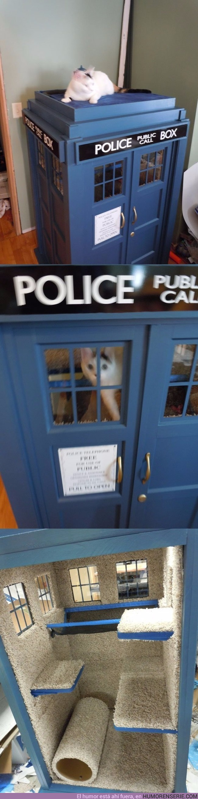 10447 - El mejor regalo para los gatos fans de Dr.Who