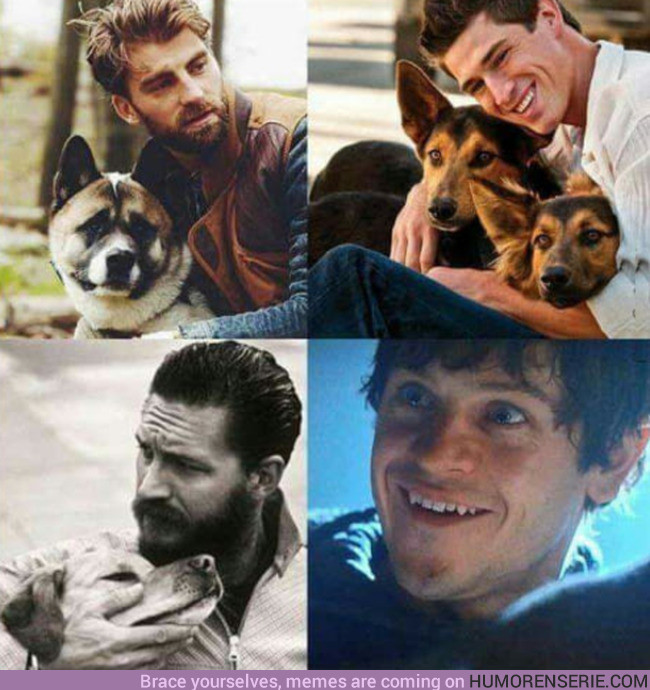 14194 - Hombres adorables que son buenos con sus perros