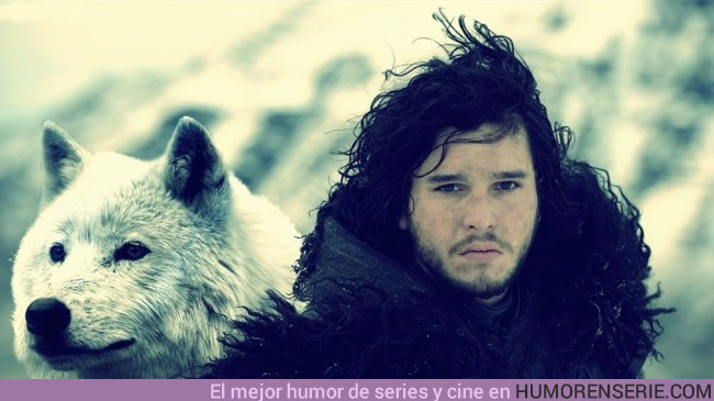 16274 - ¿Por qué no hemos vuelto a ver a Fantasma, el lobo huargo de Jon Snow?