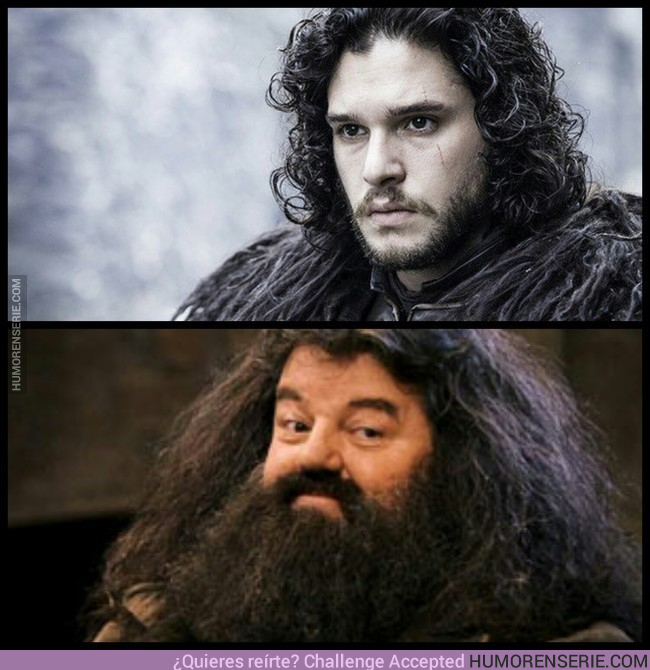 16790 - Rubeus Hagrid es el verdadero padre de Jon Snow