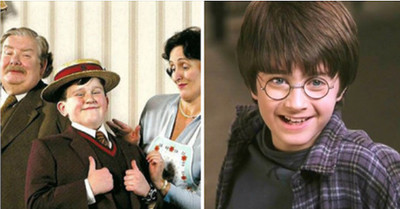 19599 - La teoría de Harry Potter que hará que te caigan bien los Dursley