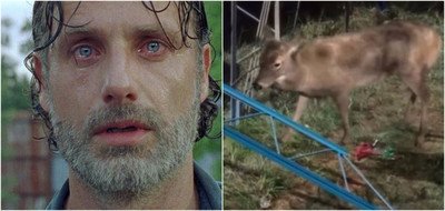 22026 - Los 10 momentos más cutres de The Walking Dead