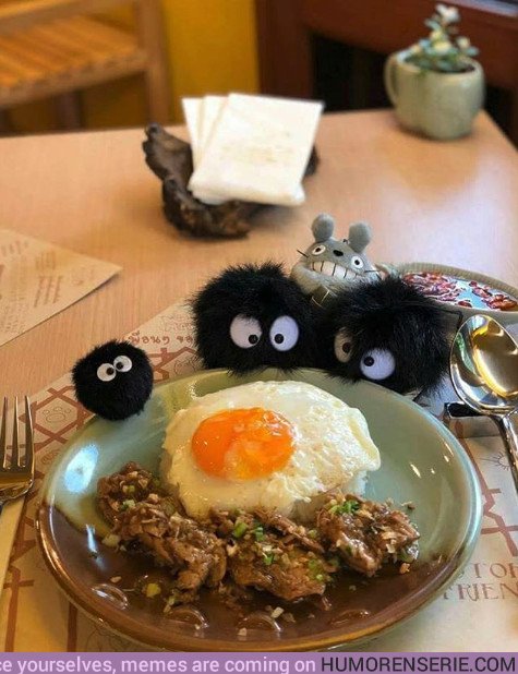 25433 - El primer restaurante oficial de Totoro es kawaii hasta decir yamete