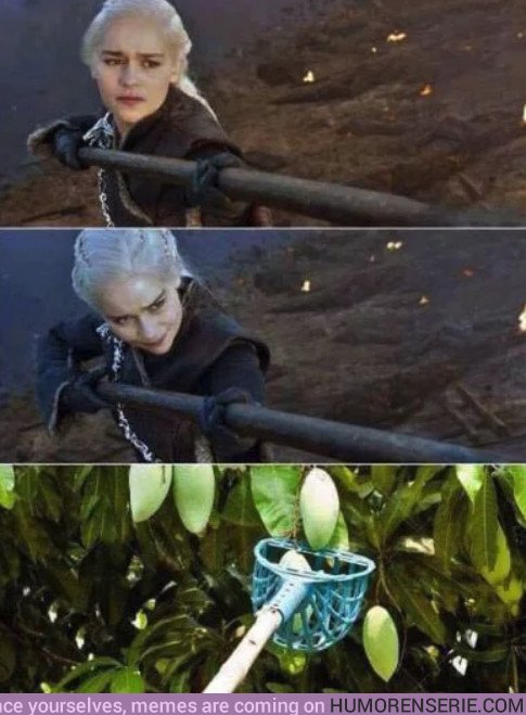25447 - Daenerys sabe lo complicado que es conseguir mangos