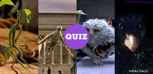 25881 - TEST: ¿Podrías asociar a estos animales fantásticos del universo de Harry Potter con su nombre?