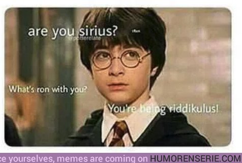26351 - Cuando alguien me dice que estoy obsesionado con Harry Potter