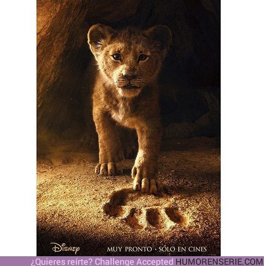 31741 - Primer póster oficial de la película de El Rey León
