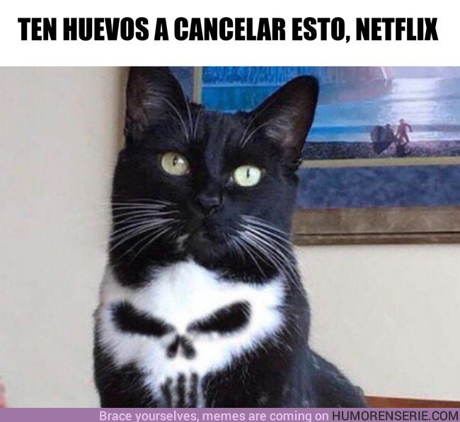32331 - Cancela a The Punisher Cat, Netflix, venga, atrévete