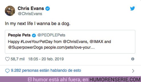 35214 - Chris Evans explica por qué quiere reencarnarse en perro y tiene toda la razón del mundo