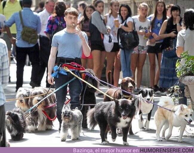 52159 - Harry Potter dando un paseo con Sirius y sus amigos 