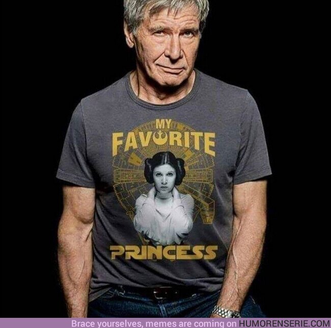 65982 - La Princesa favorita de Han Solo