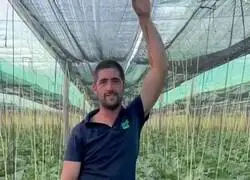 Mensaje de este trabajador del campo para el Ministro por las sand&iacute;as de Marruecos