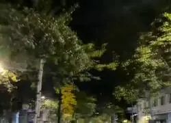 Un conductor arrolla a varios ciclistas que se manifestaban por Madrid