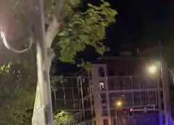Surrealista: As&iacute; corr&iacute;an algunos manifestantes cuando les persegu&iacute;a la Polic&iacute;a por Ferraz