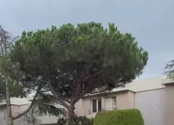 Luego dicen que los &ldquo;Menas&rdquo; y tal, pero los mayores delincuentes de Espa&ntilde;a son los Cayetanos embriagados