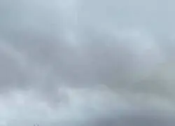 Pillan a una cabra circulando sobre el techo de un cami&oacute;n en Toledo