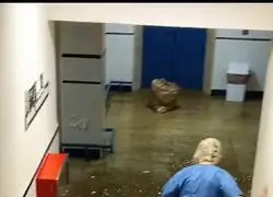 As&iacute; ha estado el Hospital Virgen del Roc&iacute;o de Sevilla con las gestiones del PP