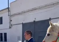 No s&eacute; que acabo de ver