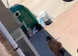 Esto ha pasado en Berga protagonizado por unos inmigrantes