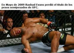 Enlace a Rashad Evans FTW!!
