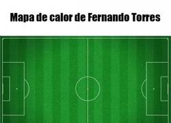 Enlace a Mapa de calor de Fernando Torres