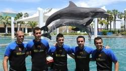 Enlace a La plantilla del Barça aprendiendo de los delfines cómo tirarse con estilo