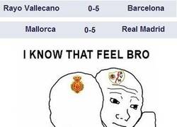 Enlace a I know that feel bro...