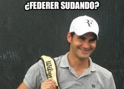Enlace a ¿Federer sudando?