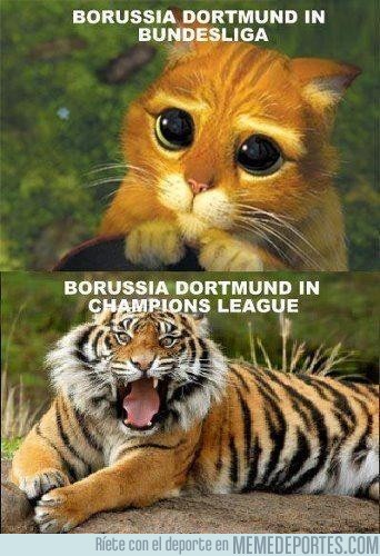 49721 - Borussia Dortmund