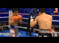 Enlace a VÍDEO: El KO de Márquez a Pacquiao