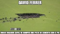 Enlace a David Ferrer