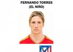Enlace a Fernando Torres