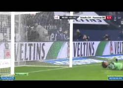 Enlace a VÍDEO: Increible golazo de chilena de Diouf vs. Schalke